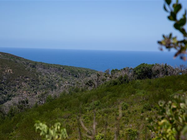 4032 m² Land available in Pezula Private Estate