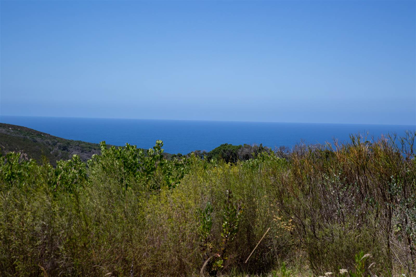 4032 m² Land available in Pezula Private Estate photo number 9