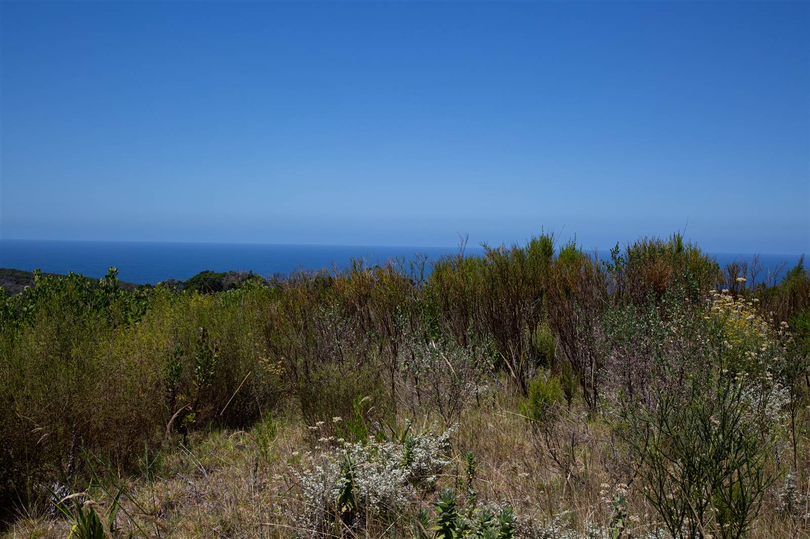 4032 m² Land available in Pezula Private Estate photo number 10