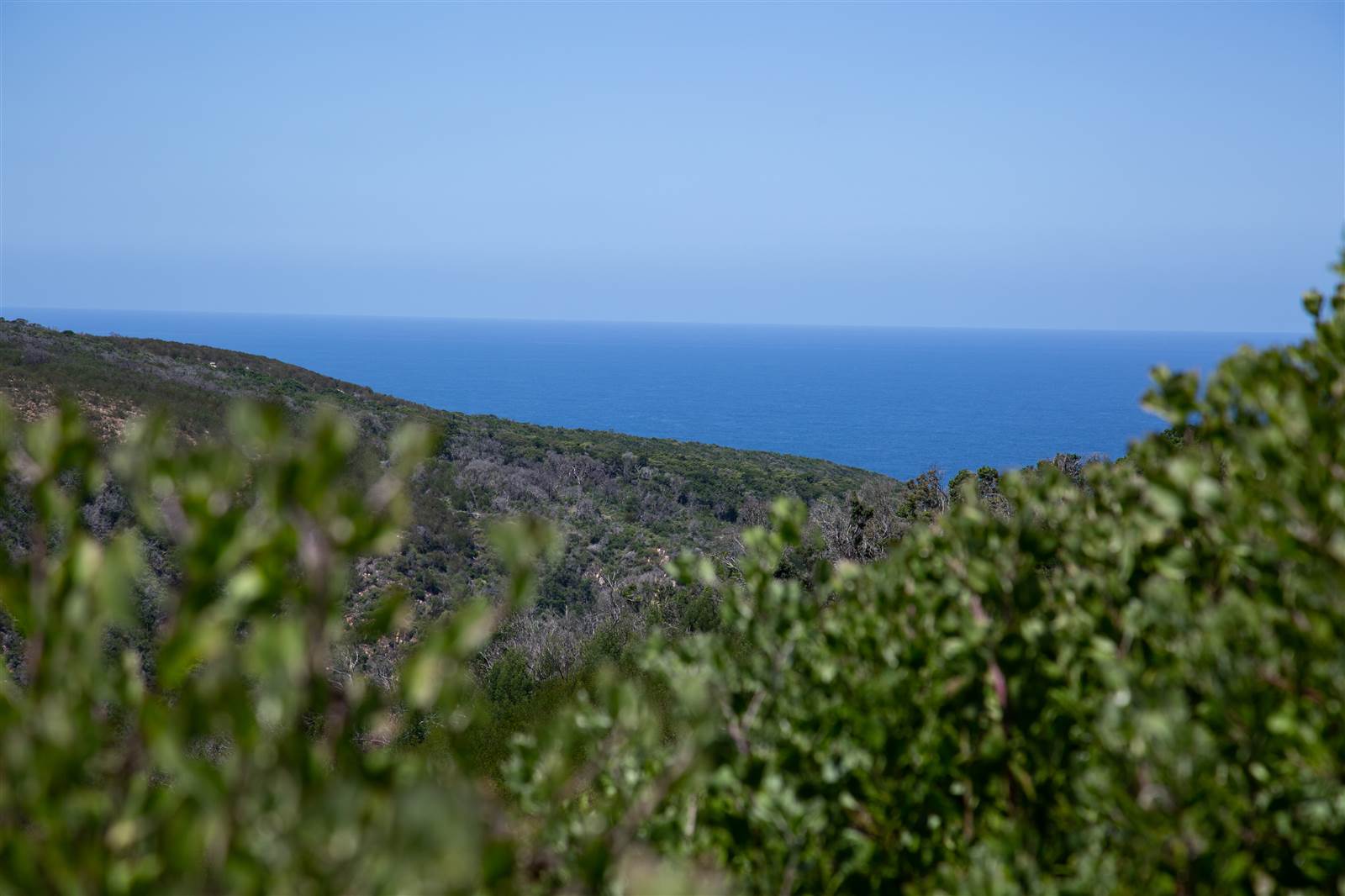 4032 m² Land available in Pezula Private Estate photo number 12