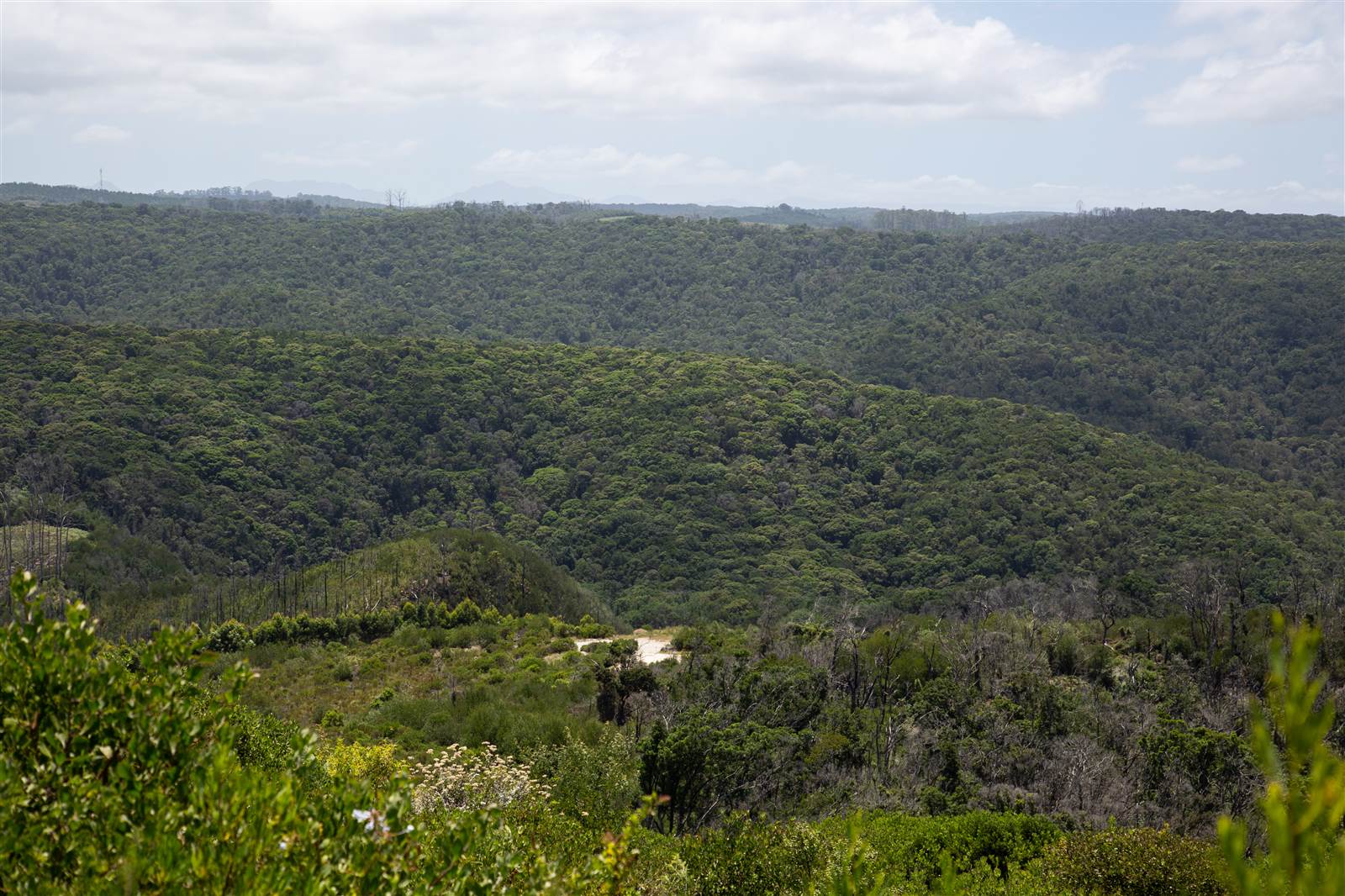 4032 m² Land available in Pezula Private Estate photo number 3
