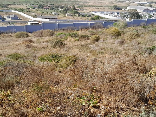 651 m² Land available in Saldanha