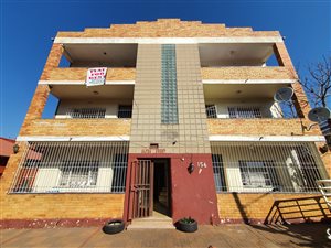 20 Bed Apartment in Bellevue