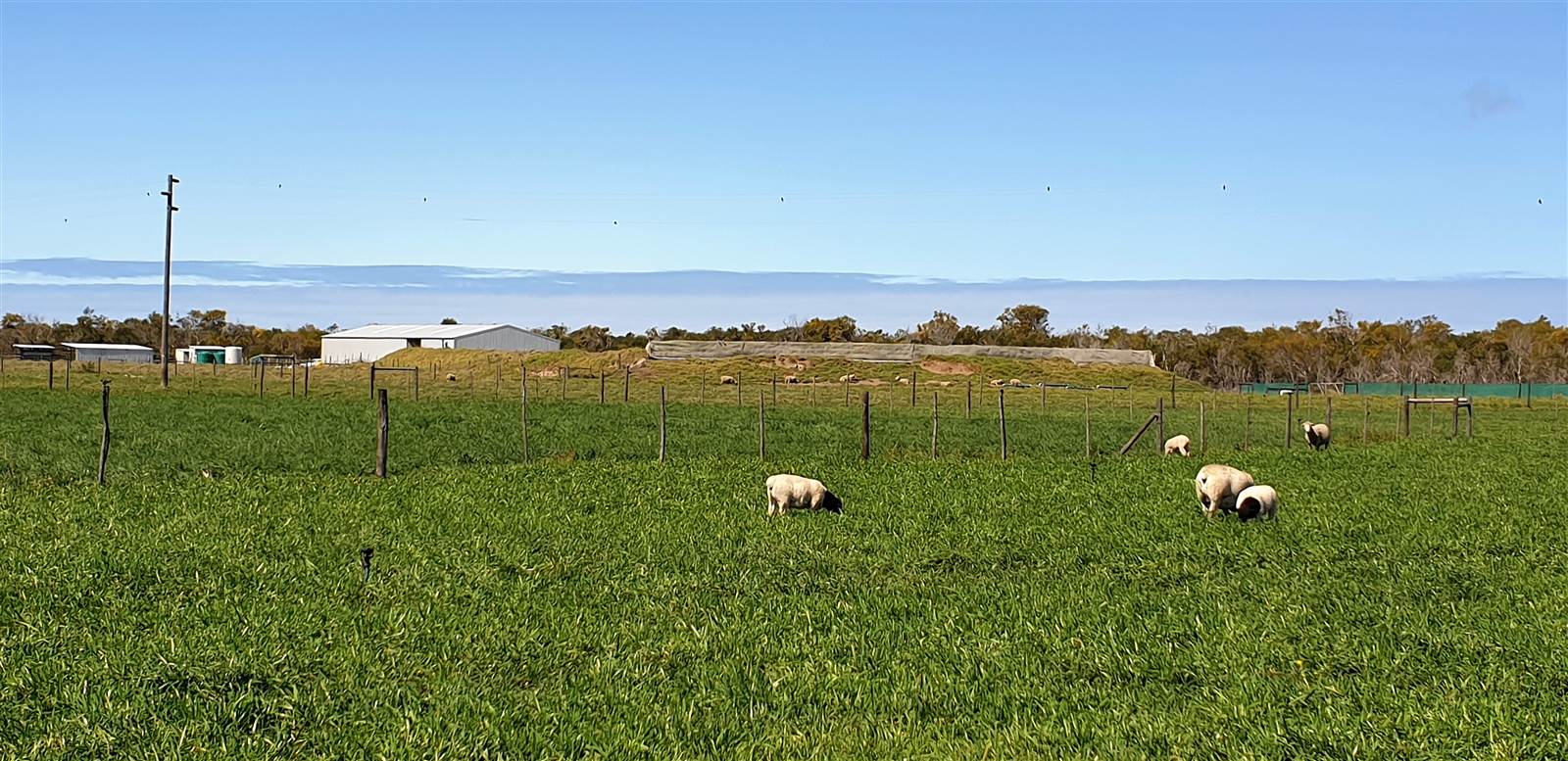 16.5 ha Farm in St Francis Bay photo number 3
