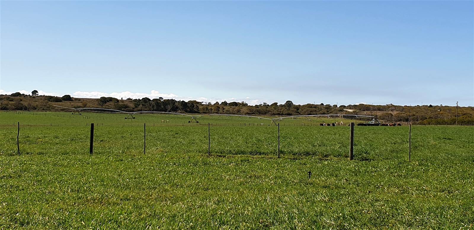 16.5 ha Farm in St Francis Bay photo number 16