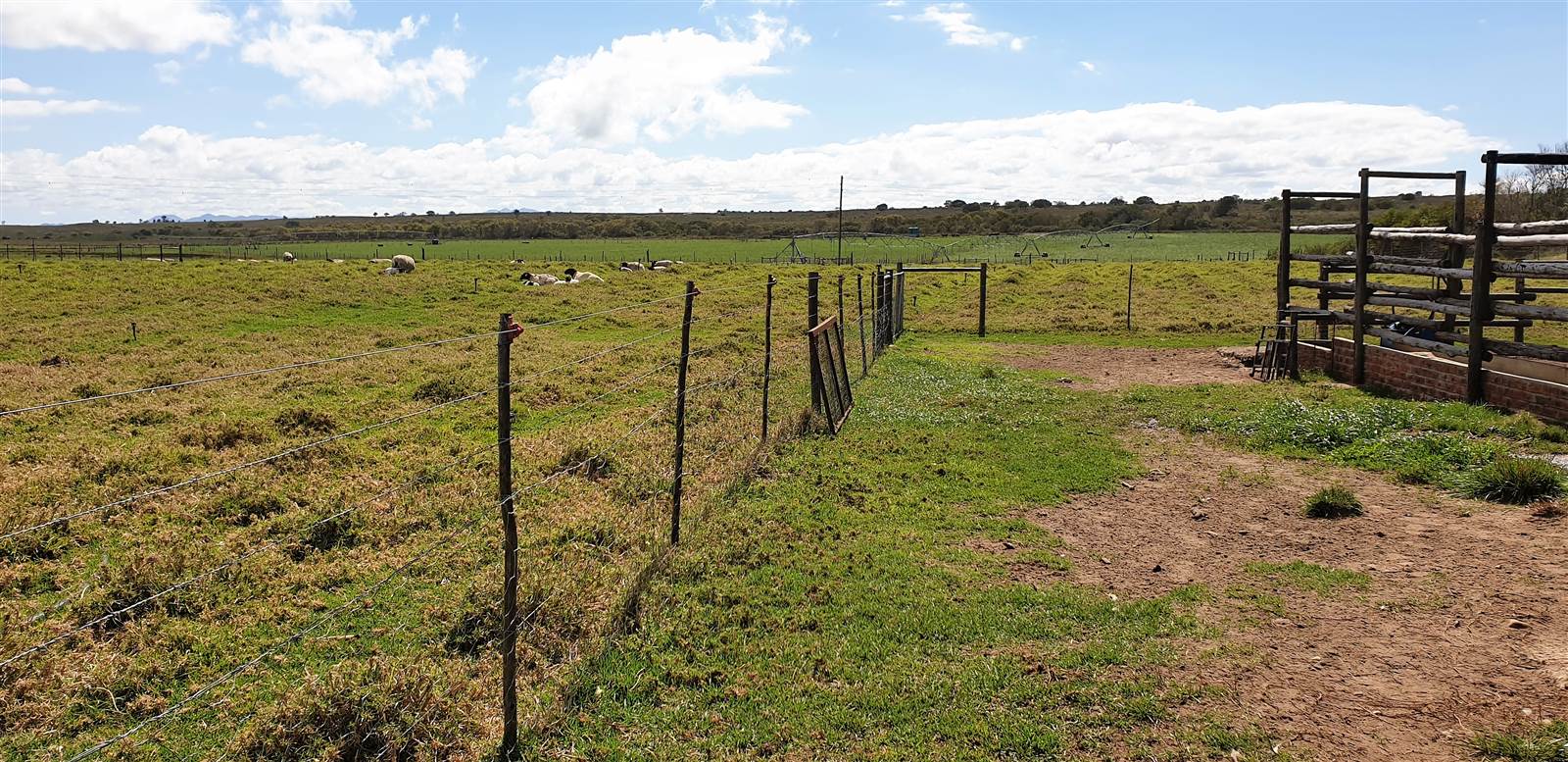 16.5 ha Farm in St Francis Bay photo number 7
