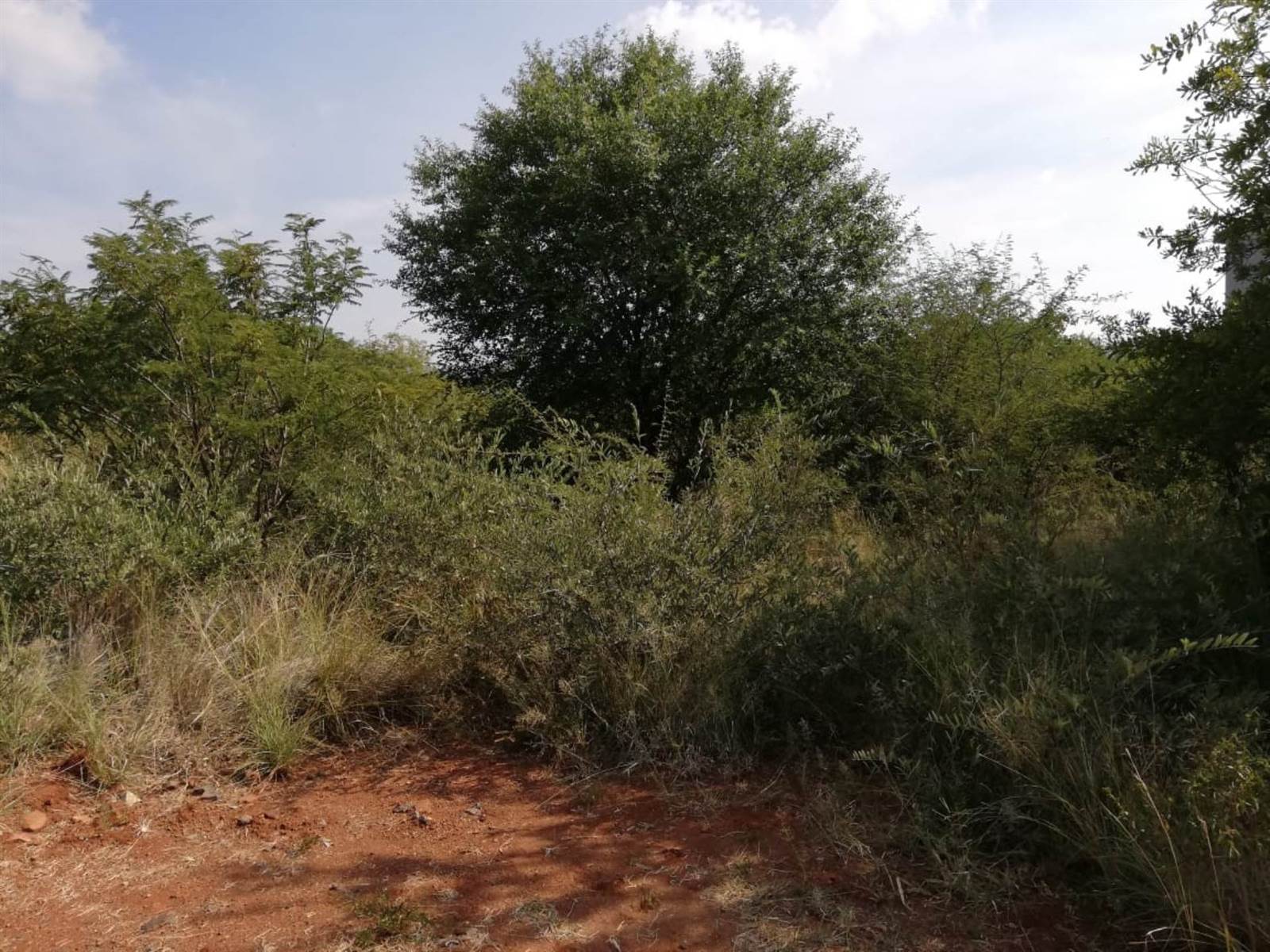 909 m² Land available in Seasons Lifestyle Estate photo number 8