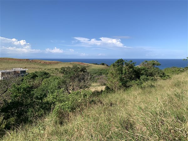 1319 m² Land available in Sheffield Beach