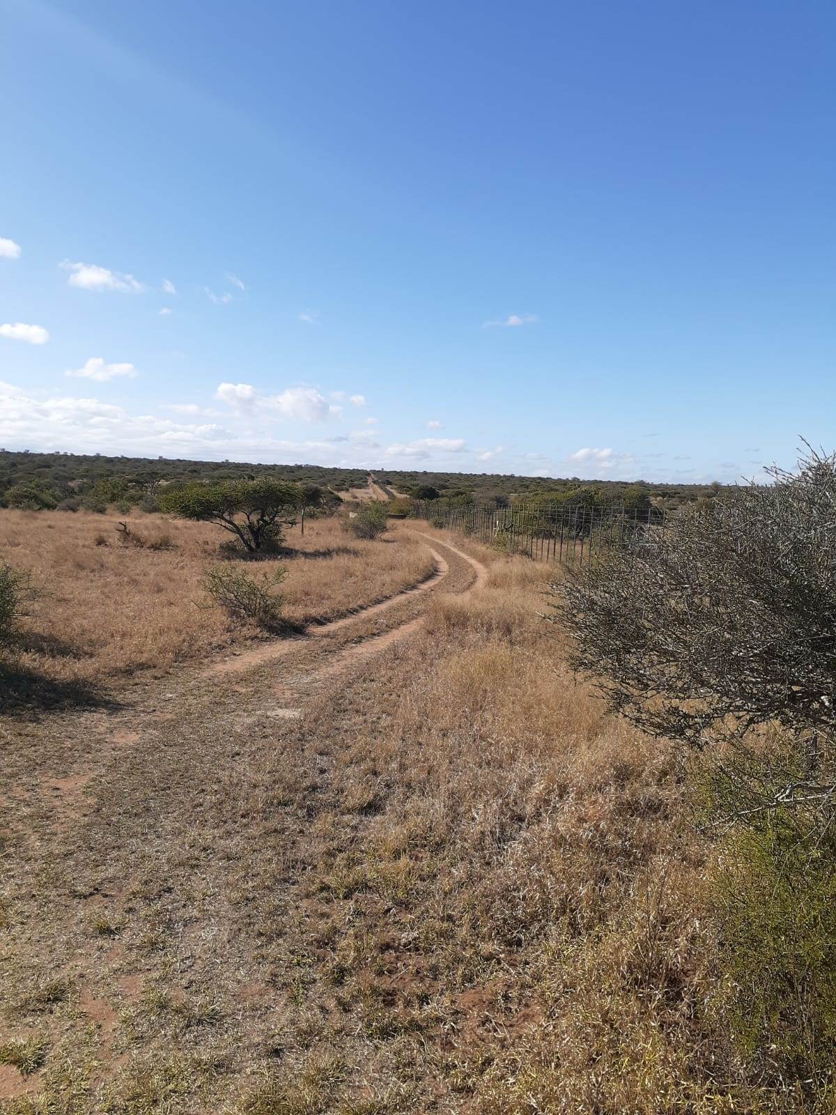 957 ha Land available in Louis Trichardt photo number 26