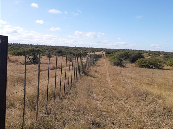 957 ha Land available in Louis Trichardt