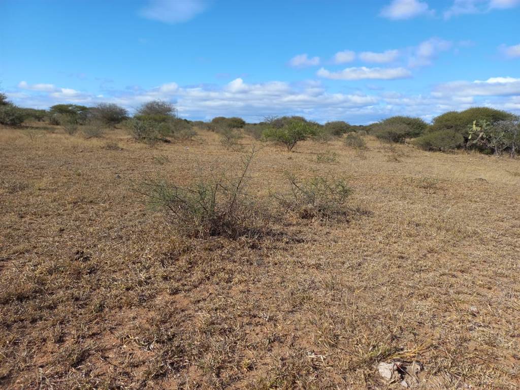 957 ha Land available in Louis Trichardt photo number 10