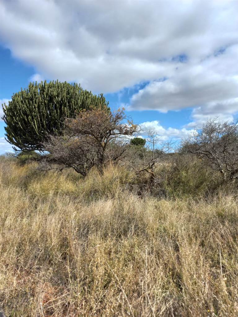 957 ha Land available in Louis Trichardt photo number 22