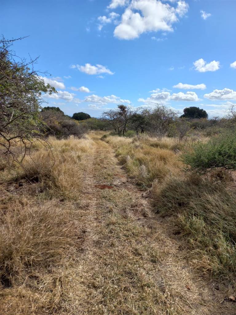 957 ha Land available in Louis Trichardt photo number 18