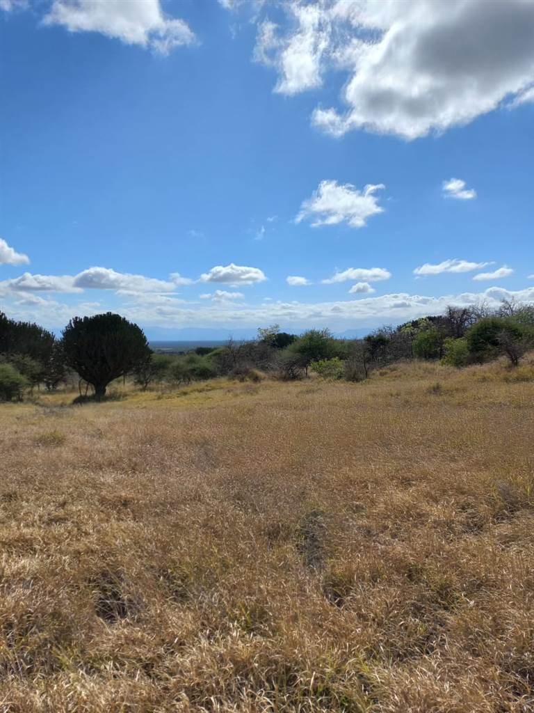 957 ha Land available in Louis Trichardt photo number 14