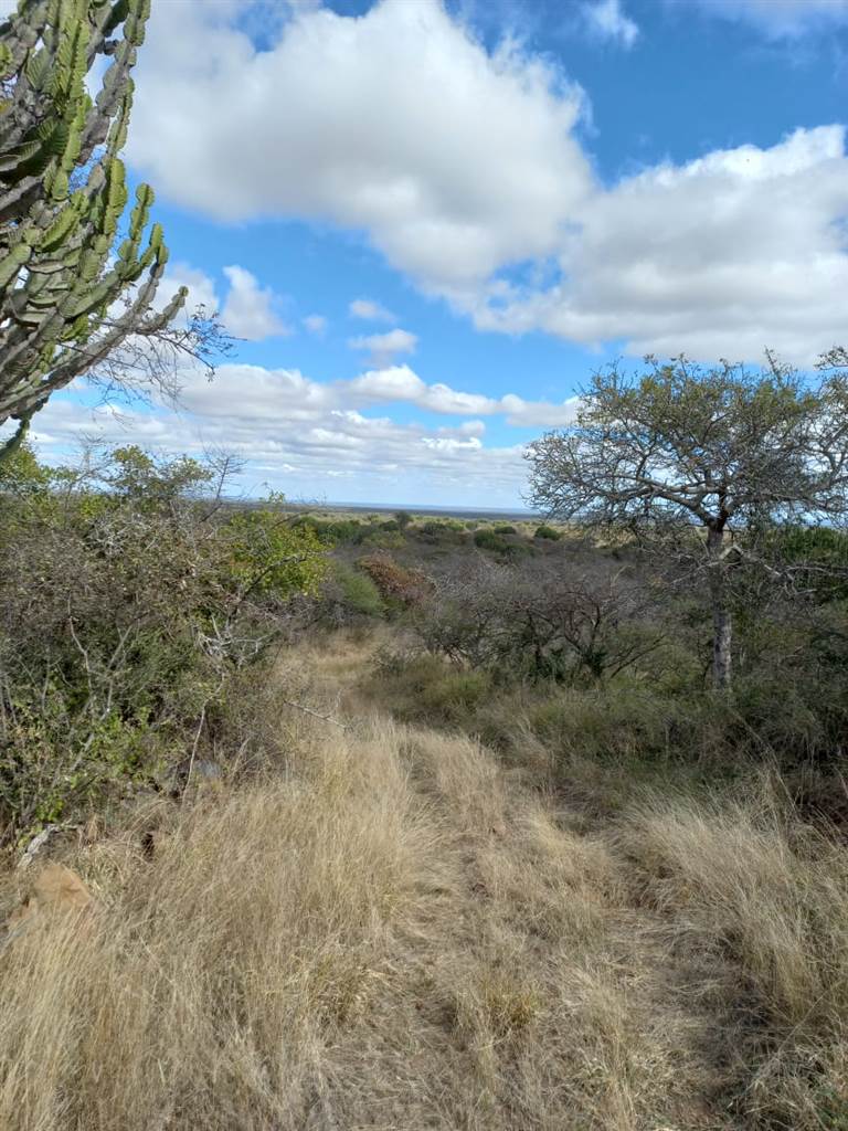 957 ha Land available in Louis Trichardt photo number 19