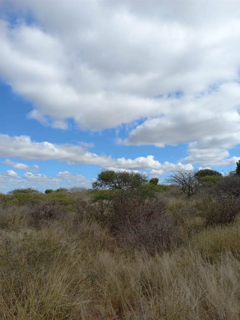 957 ha Land available in Louis Trichardt photo number 20