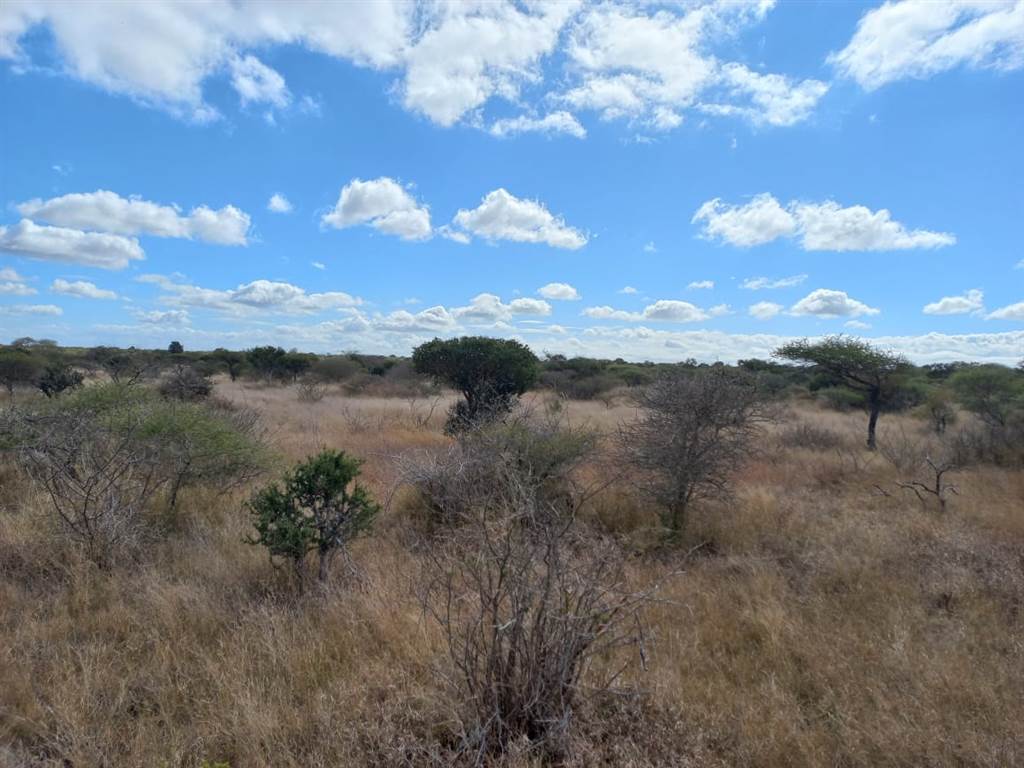 957 ha Land available in Louis Trichardt photo number 23