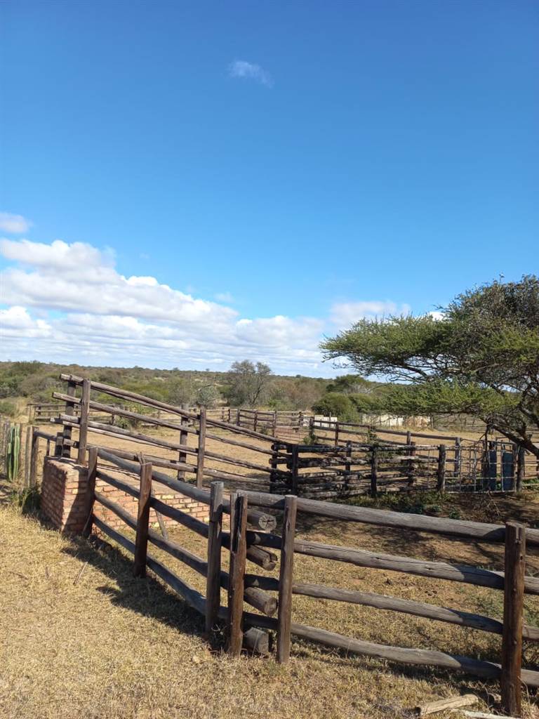 957 ha Land available in Louis Trichardt photo number 7