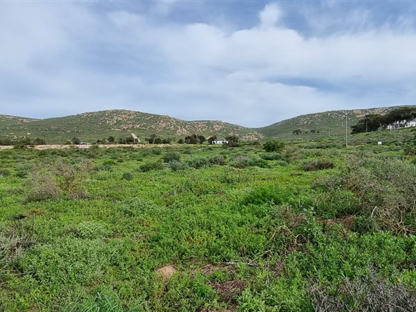 264 m² Land