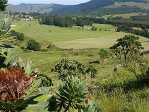 475 ha Farm in Richmond