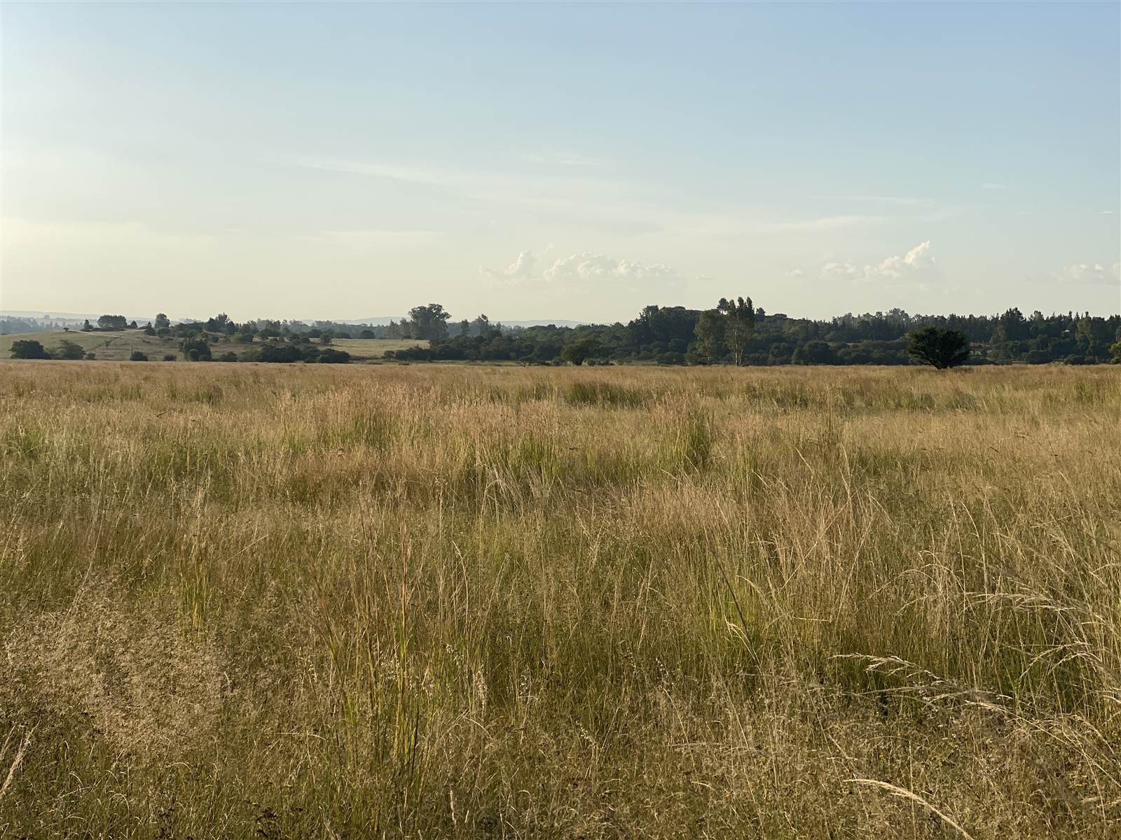 21.4 ha Land available in Mooiplaats AH photo number 3