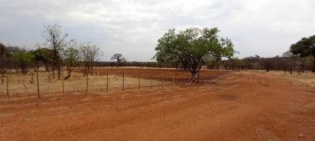 21 ha Land available in Musina photo number 8