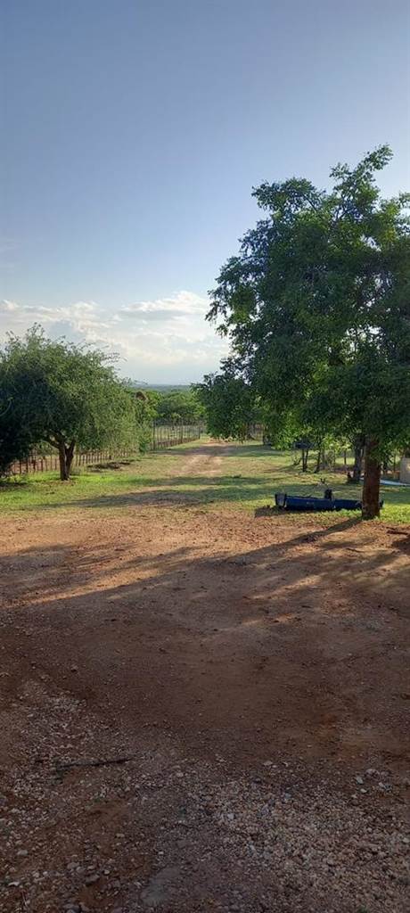 21 ha Land available in Musina photo number 10