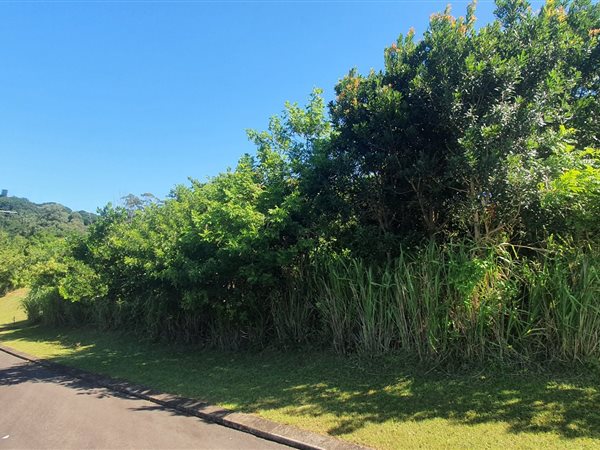 536 m² Land available in Sea Park