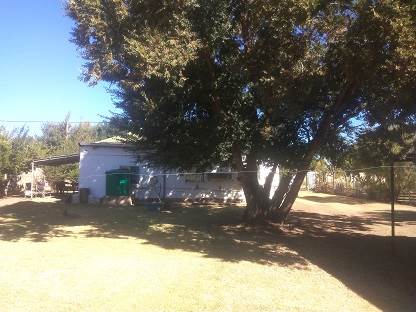 3 Bed House in Marquard photo number 15