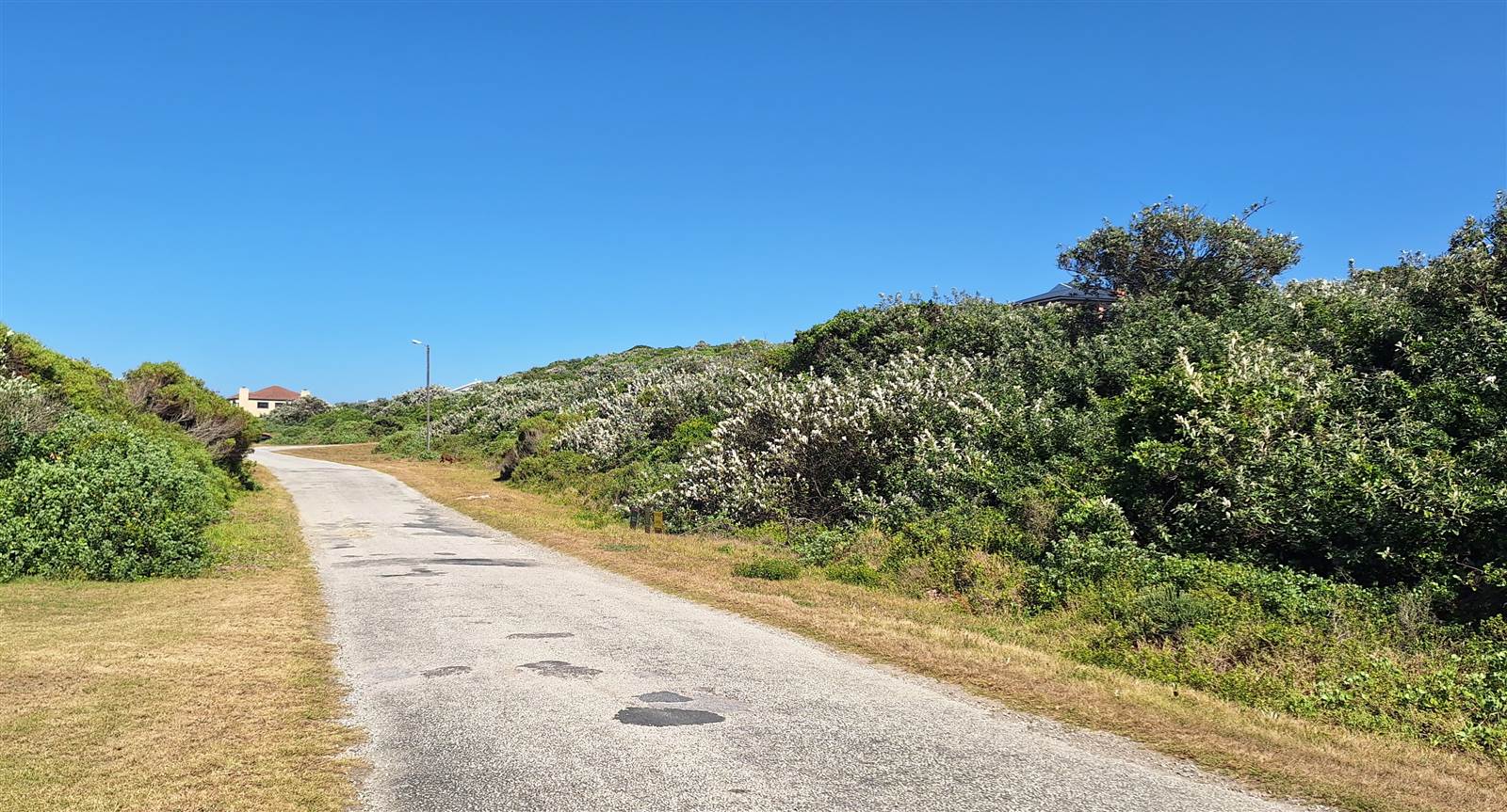 981 m² Land available in Boknesstrand photo number 3
