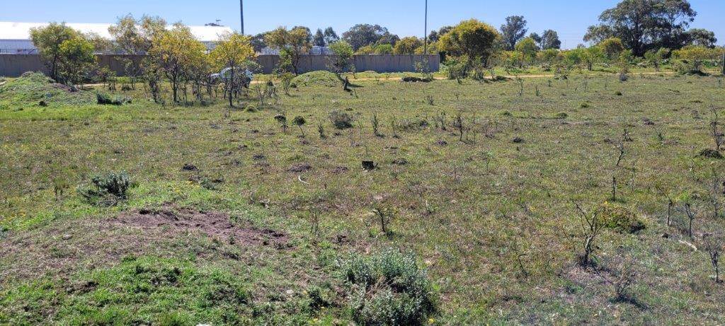 2.9 ha Land available in Greenbushes photo number 5