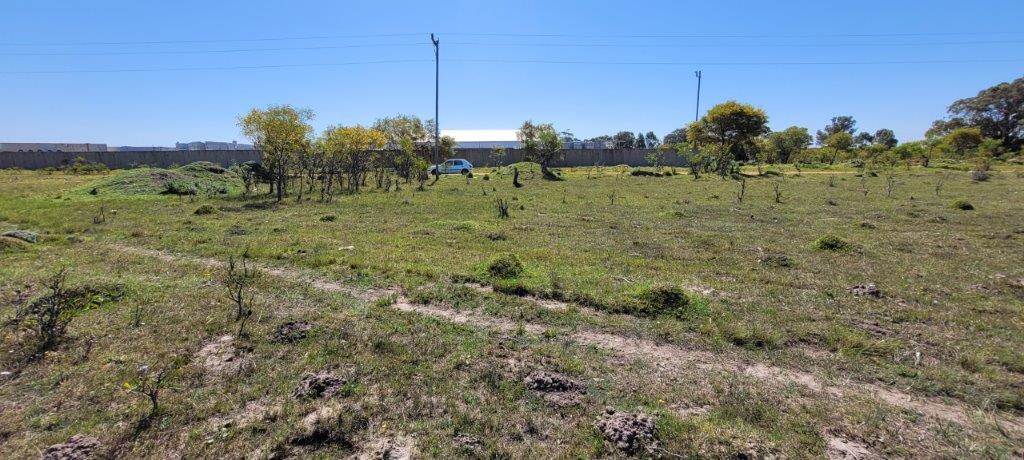 2.9 ha Land available in Greenbushes photo number 4