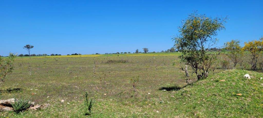 2.9 ha Land available in Greenbushes photo number 11