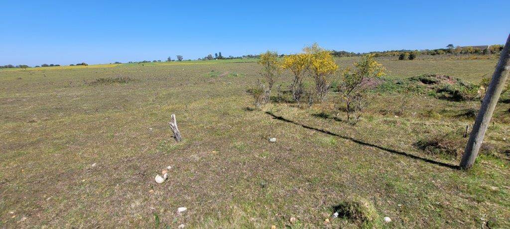 2.9 ha Land available in Greenbushes photo number 3