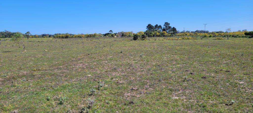 2.9 ha Land available in Greenbushes photo number 6