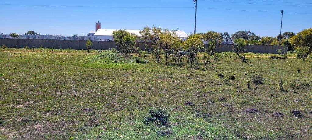 2.9 ha Land available in Greenbushes photo number 7
