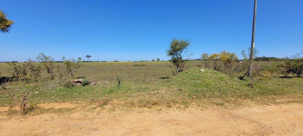 2.9 ha Land available in Greenbushes photo number 10