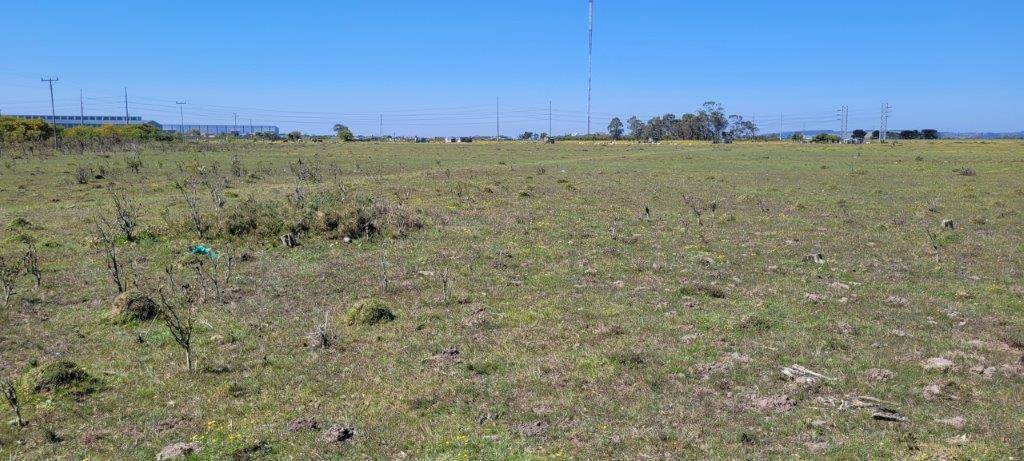 2.9 ha Land available in Greenbushes photo number 2