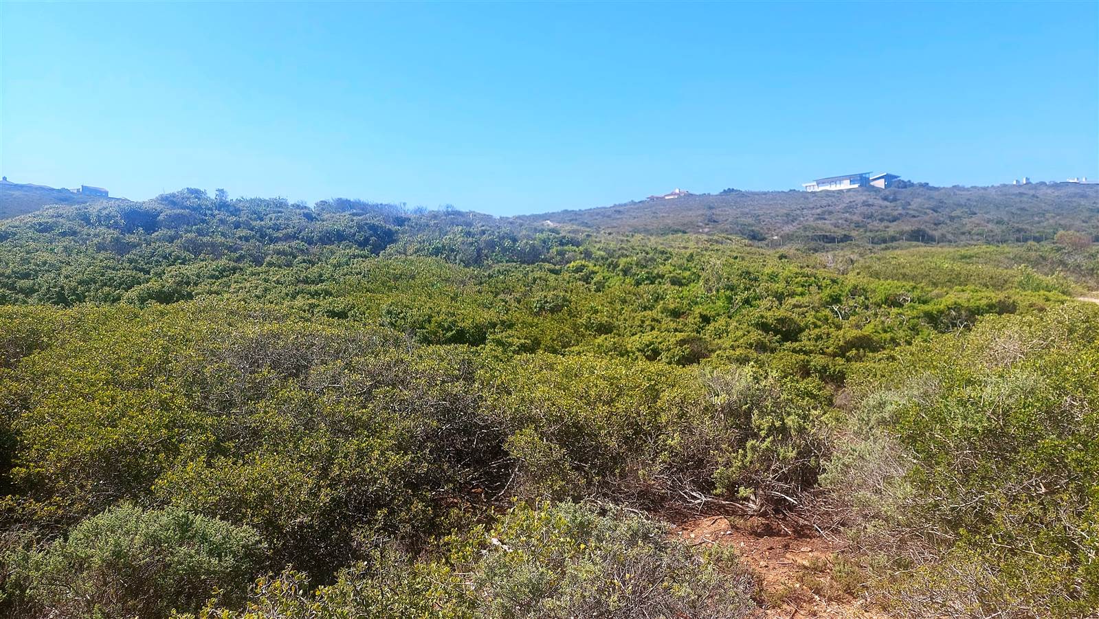 850 m² Land available in Dana Bay photo number 5