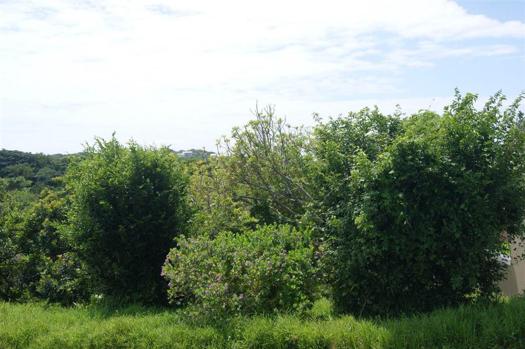 733 m² Land available in Princes Grant Golf Estate photo number 5