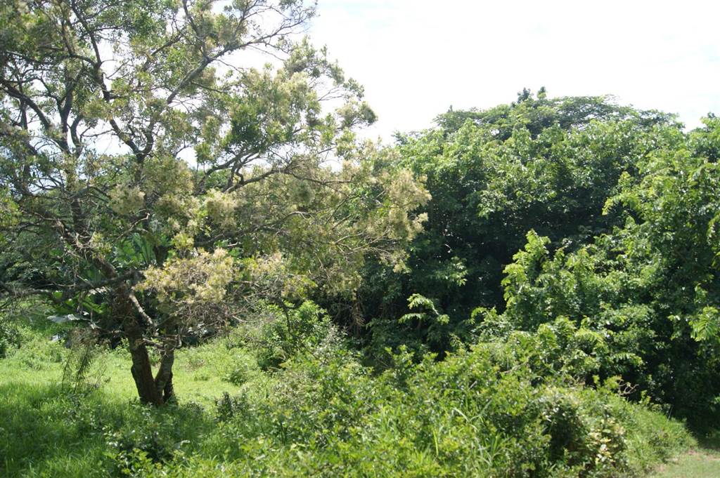 733 m² Land available in Princes Grant Golf Estate photo number 10