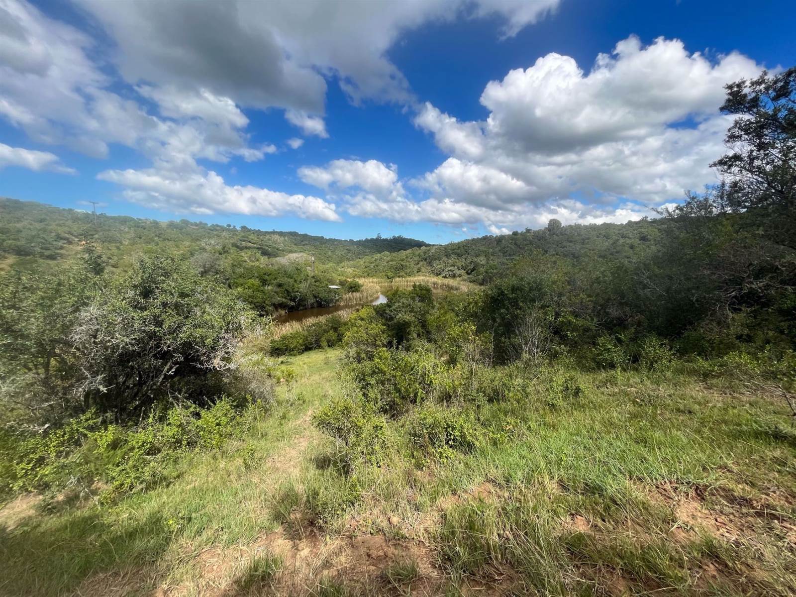 10.5 ha Land available in Bathurst and Surrounds photo number 7