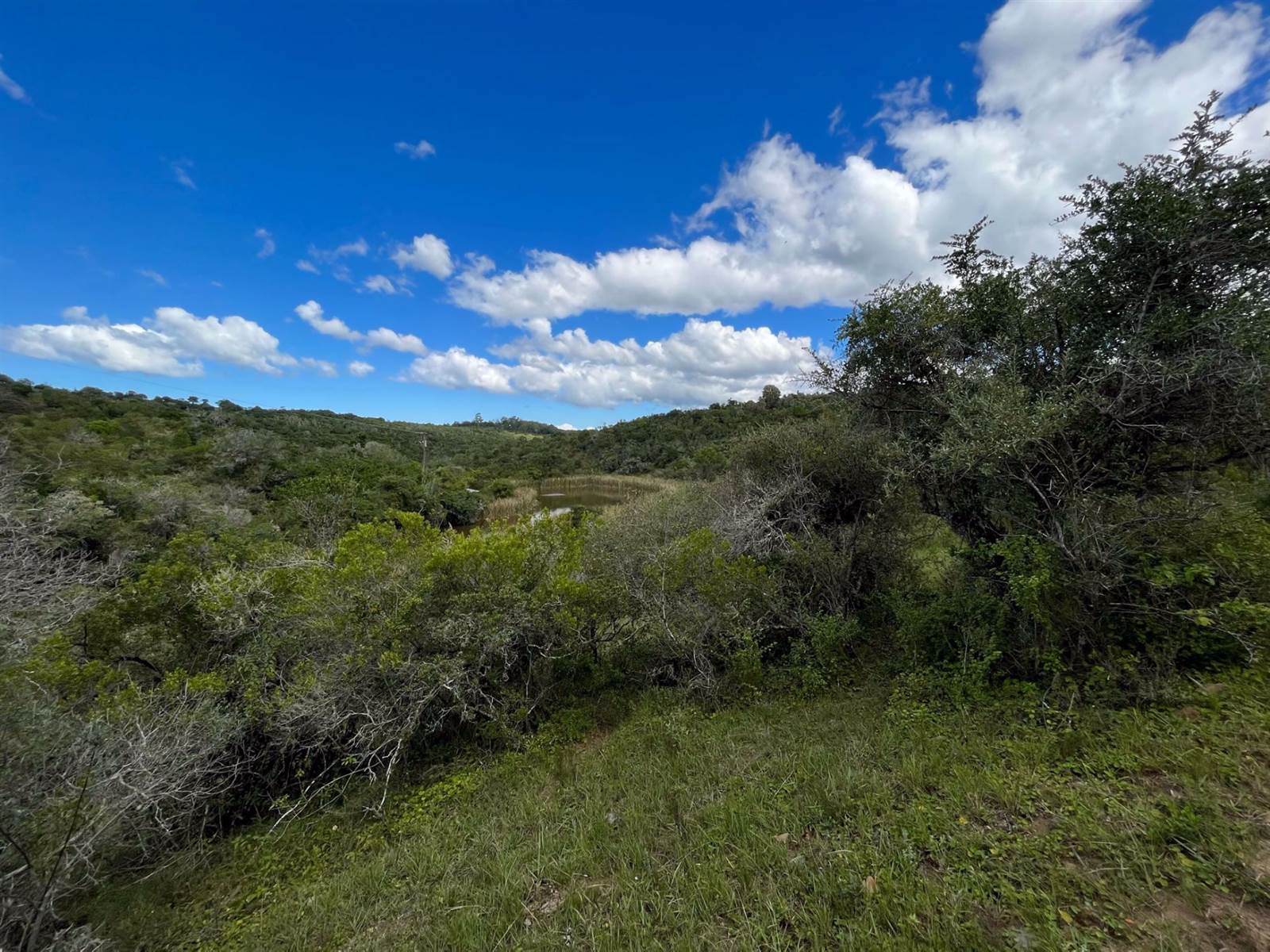 10.5 ha Land available in Bathurst and Surrounds photo number 20