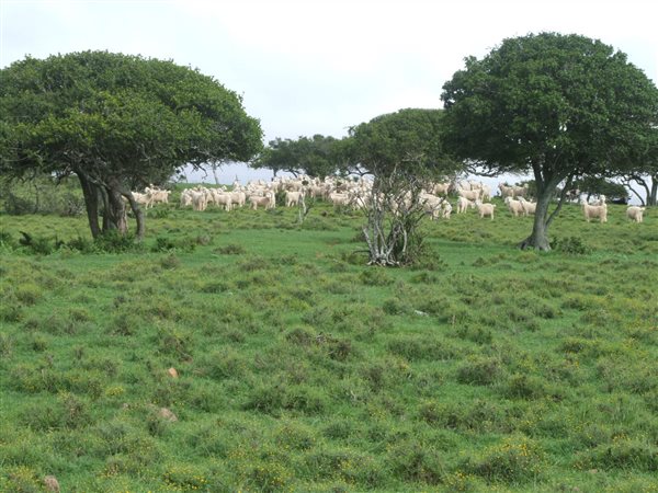 890 m² Farm 890 m² Farm
