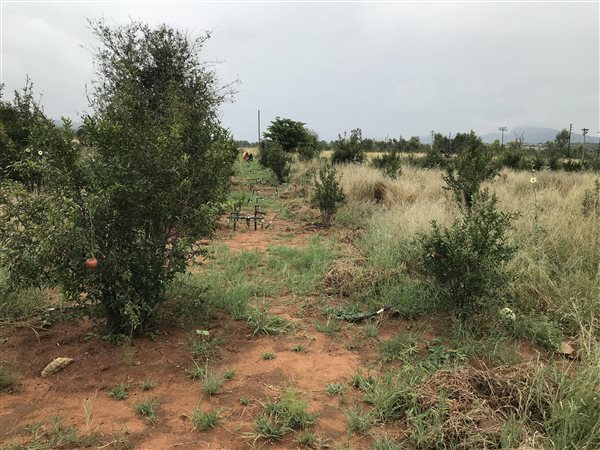 4 ha Land available in Kameeldrift West