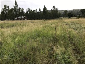 4 ha Land available in Kameeldrift West