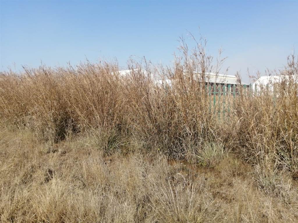 3311 m² Land available in Lydenburg photo number 10