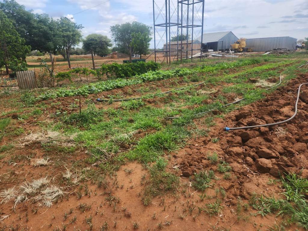455 ha Farm in Thabazimbi photo number 16