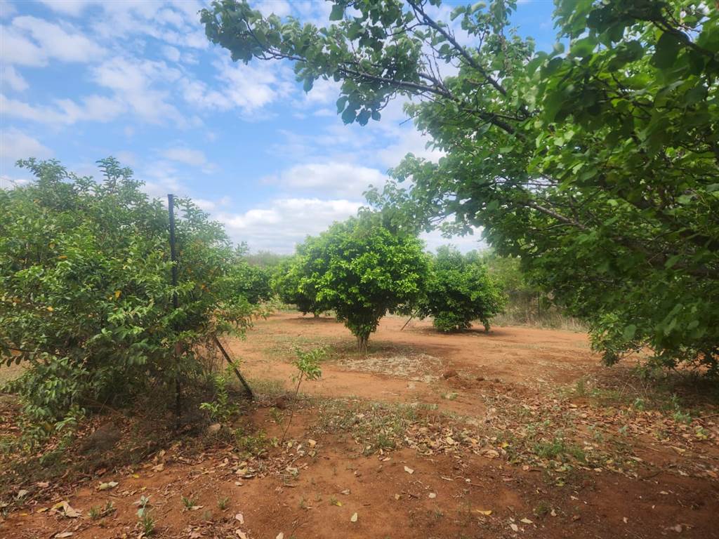 455 ha Farm in Thabazimbi photo number 14