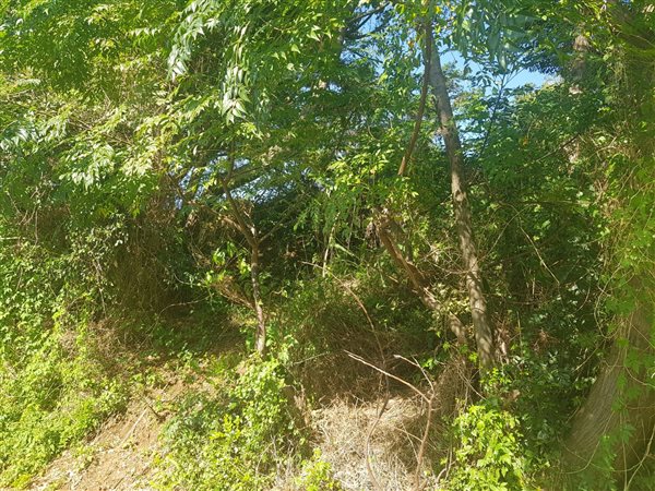 2 067 m² Land 2 067 m² Land